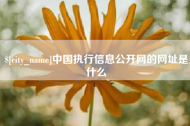 阜宁中国执行信息公开网的网址是什么