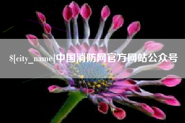 阜宁中国消防网官方网站公众号