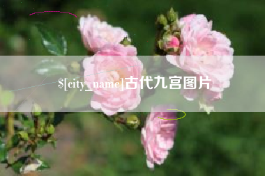 阜宁古代九宫图片