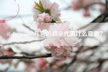 阜宁九宫的数字代表什么意思？