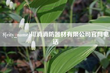 阜宁川消消防器材有限公司官网电话