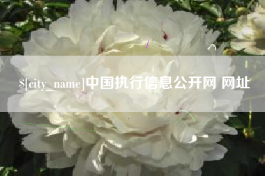 阜宁中国执行信息公开网 网址