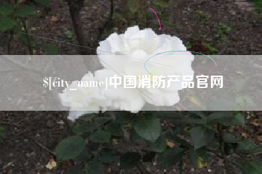 阜宁中国消防产品官网