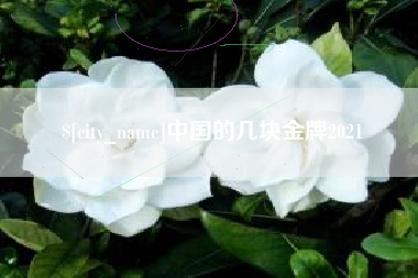 阜宁中国的几块金牌2021