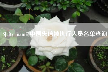 阜宁中国失信被执行人员名单查询
