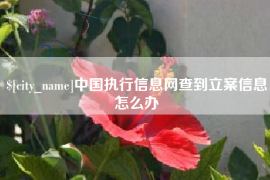 阜宁中国执行信息网查到立案信息怎么办