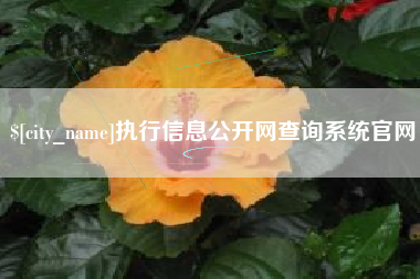 阜宁执行信息公开网查询系统官网