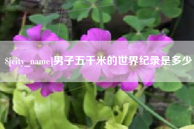 阜宁男子五千米的世界纪录是多少