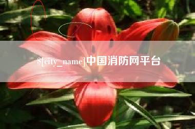 阜宁中国消防网平台