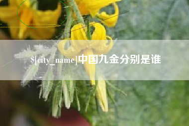 阜宁中国九金分别是谁