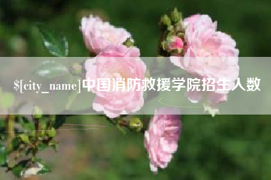 阜宁中国消防救援学院招生人数