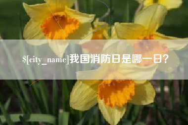 阜宁我国消防日是哪一日？