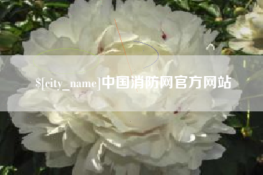 阜宁中国消防网官方网站