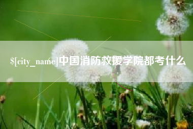 阜宁中国消防救援学院都考什么