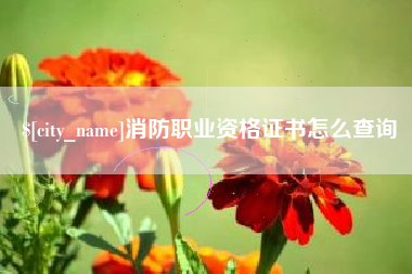 阜宁消防职业资格证书怎么查询