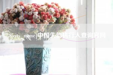 阜宁中国失信执行人查询官网