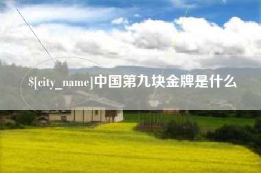 阜宁中国第九块金牌是什么