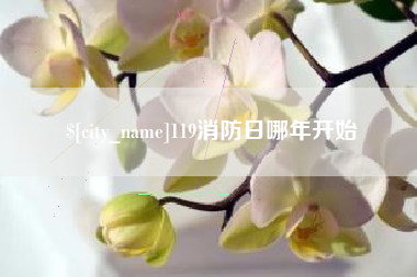阜宁119消防日哪年开始