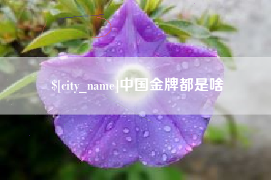 阜宁中国金牌都是啥
