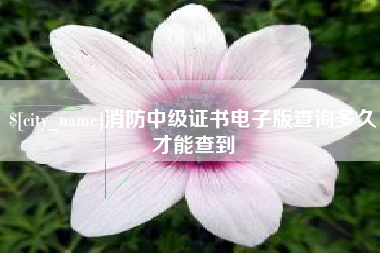 阜宁消防中级证书电子版查询多久才能查到