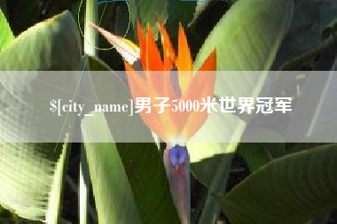 阜宁男子5000米世界冠军