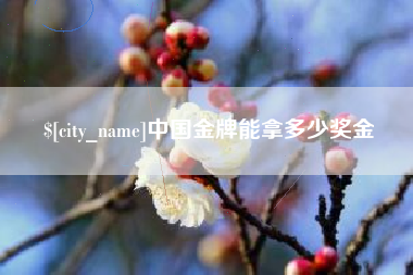 阜宁中国金牌能拿多少奖金