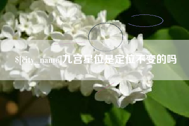 阜宁九宫星位是定位不变的吗
