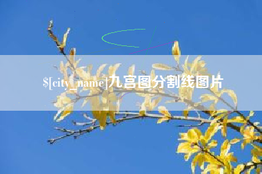 阜宁九宫图分割线图片