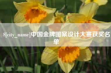 阜宁中国金牌图案设计大赛获奖名单