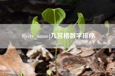 阜宁九宫格数字排序