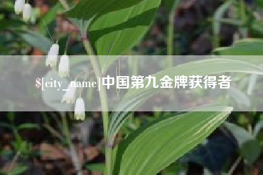 阜宁中国第九金牌获得者