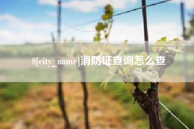 阜宁消防证查询怎么查