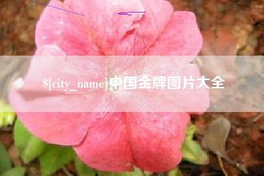 阜宁中国金牌图片大全