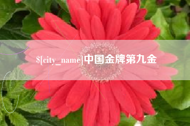 阜宁中国金牌第九金