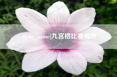 阜宁九宫格比赛规则