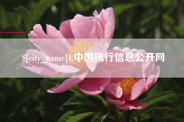 阜宁1.中国执行信息公开网