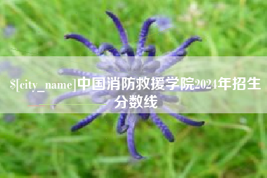 阜宁中国消防救援学院2024年招生分数线