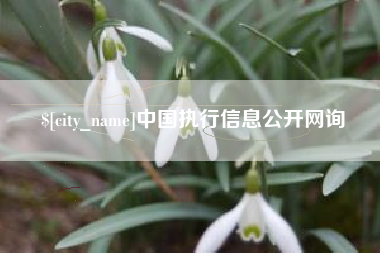 阜宁中国执行信息公开网询