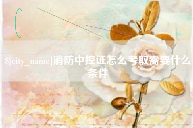 阜宁消防中控证怎么考取需要什么条件