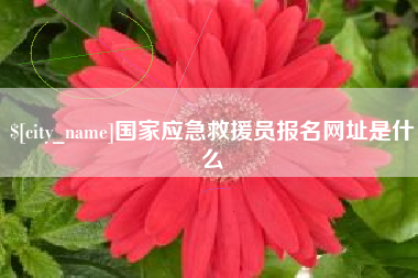 阜宁国家应急救援员报名网址是什么