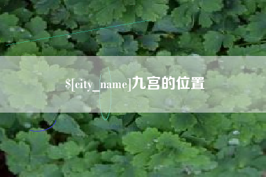 阜宁九宫的位置