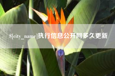 阜宁执行信息公开网多久更新