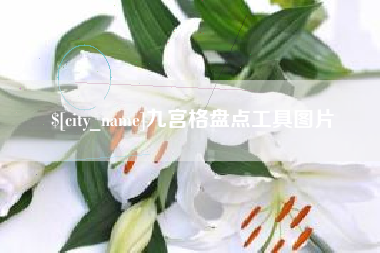 阜宁九宫格盘点工具图片
