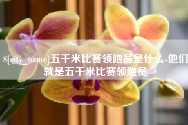 阜宁五千米比赛领跑员是什么-他们就是五千米比赛领跑员