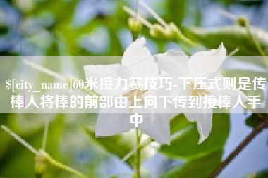 阜宁60米接力赛技巧-下压式则是传棒人将棒的前部由上向下传到接棒人手中