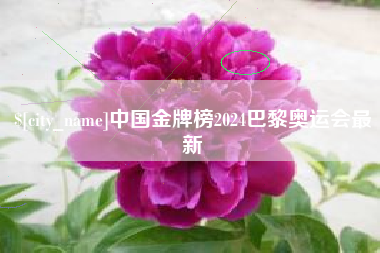 阜宁中国金牌榜2024巴黎奥运会最新