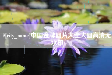 阜宁中国金牌图片大全大图高清无水印