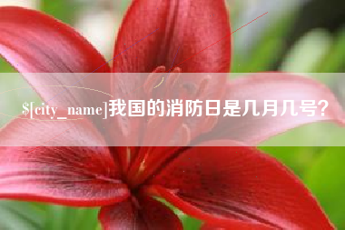 阜宁我国的消防日是几月几号？