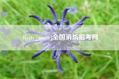 阜宁全国消防招考网
