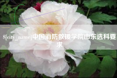 阜宁中国消防救援学院山东选科要求